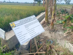Bau Menyengat Mark-Up Irigasi BBWS Sumut II di Desa Sekip, LSM-PERADI Laporkan P3A Sarana Juang Kami ke Kejati Sumut
